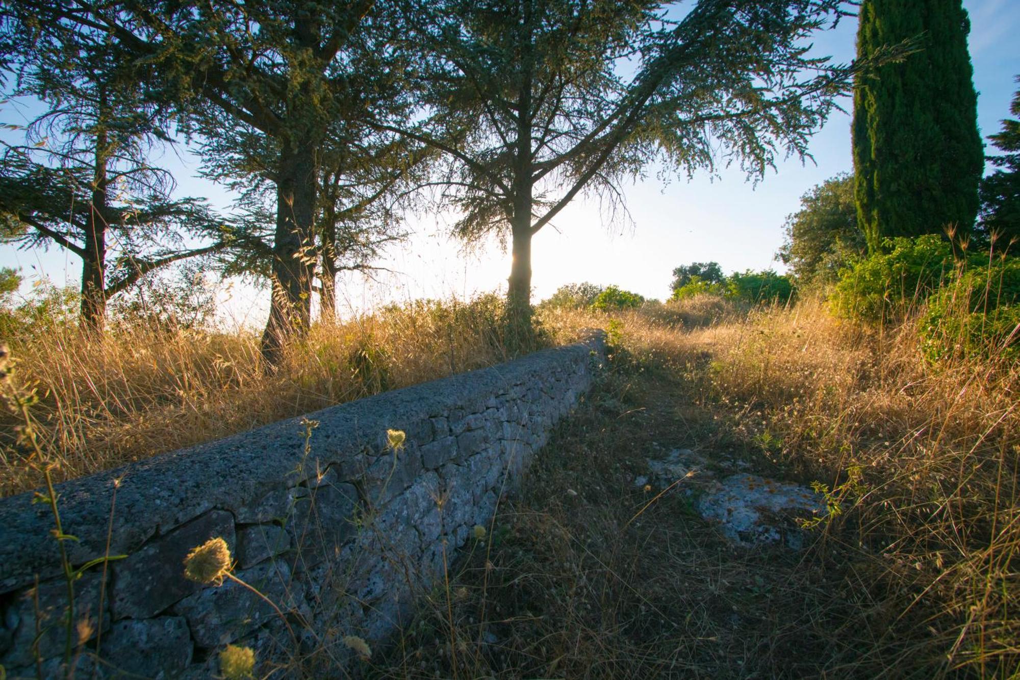 B&B In Fondo Alla Strada Fasano Exteriér fotografie